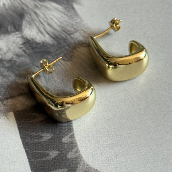 IMG_7927 Aro Marion - Colección Gold Addict - 20 mm - 1 par