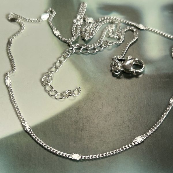 IMG_9247 Gargantilla Silver 45cm Colección Gold Addict